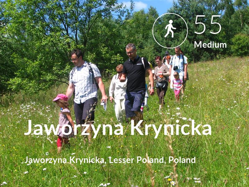 Walking comfort level is 55 in Jaworzyna Krynicka