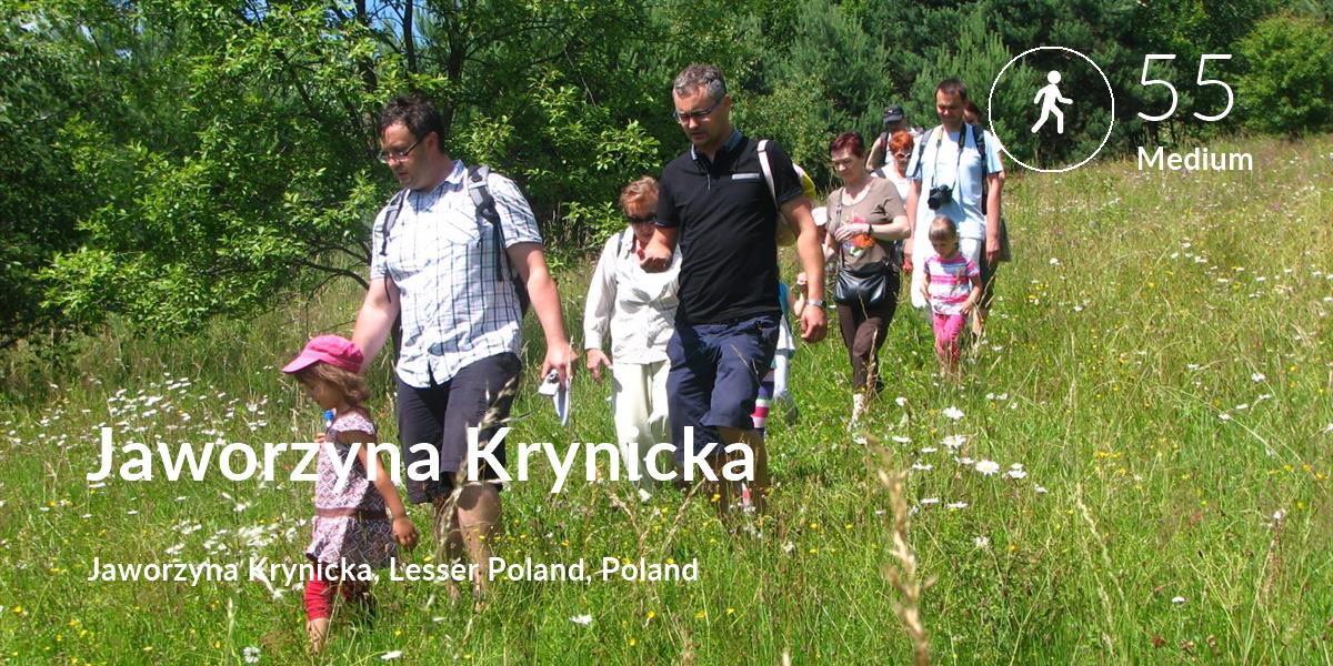Walking comfort level is 55 in Jaworzyna Krynicka