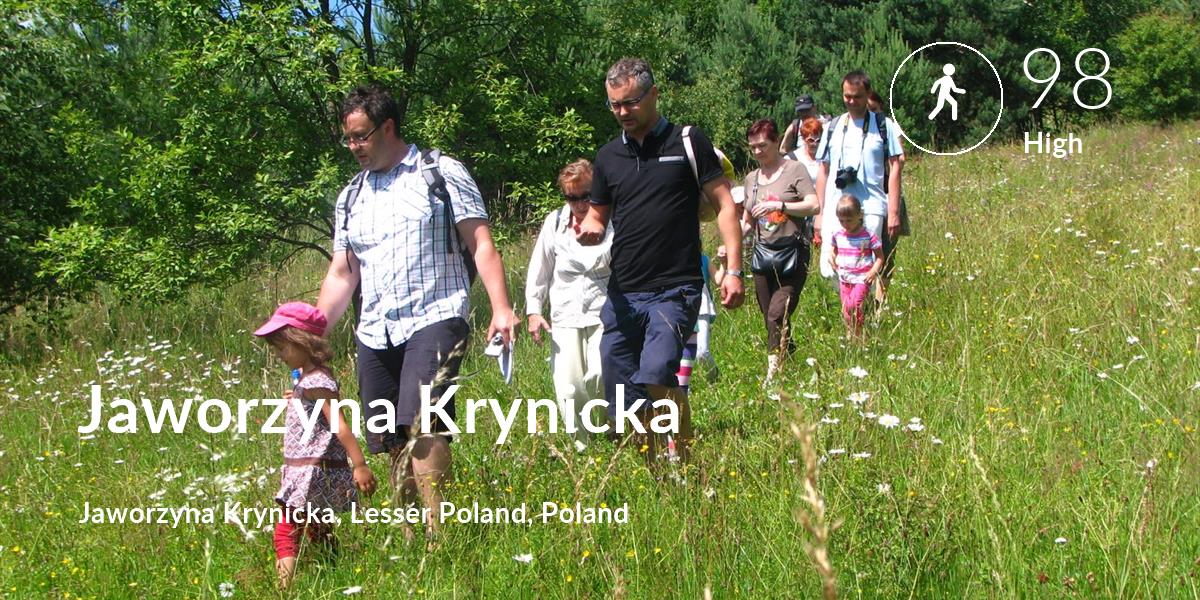 Walking comfort level is 98 in Jaworzyna Krynicka