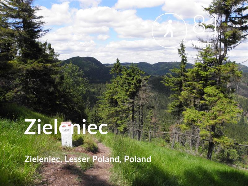 Walking comfort level is 81 in Zieleniec