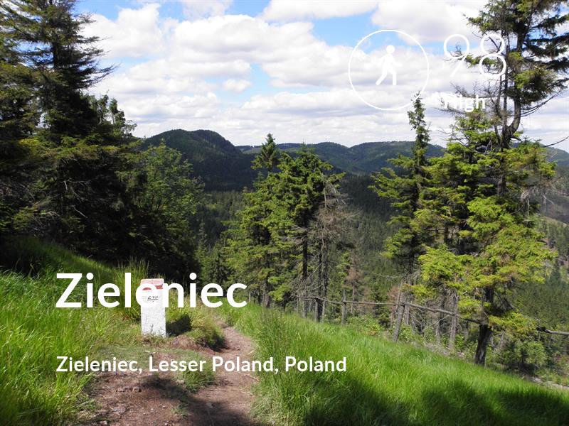 Walking comfort level is 98 in Zieleniec