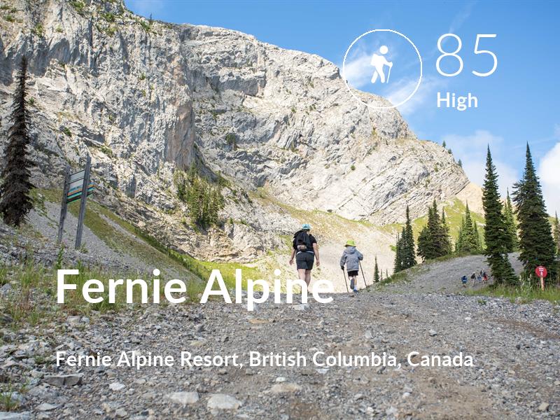 Hiking comfort level is 85 in Fernie Alpine