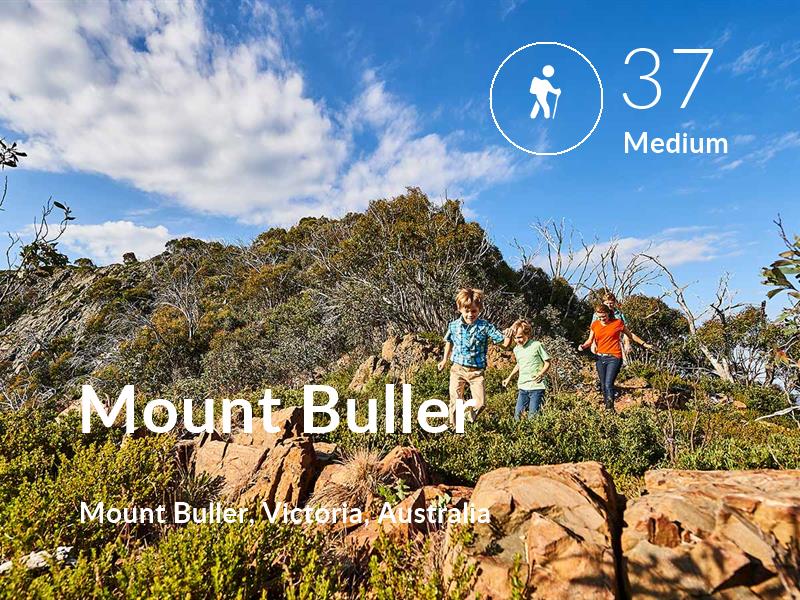 Hiking comfort level is 37 in Mount Buller