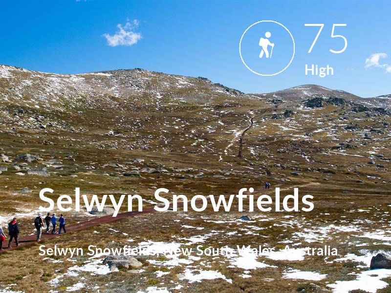 Hiking comfort level is 75 in Selwyn Snowfields